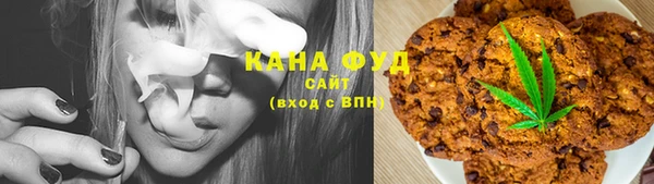 PSILOCYBIN Алзамай