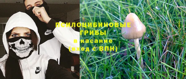 марихуана Абаза