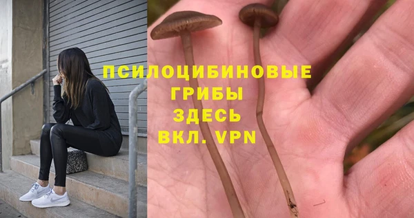 гидропоника Алексеевка